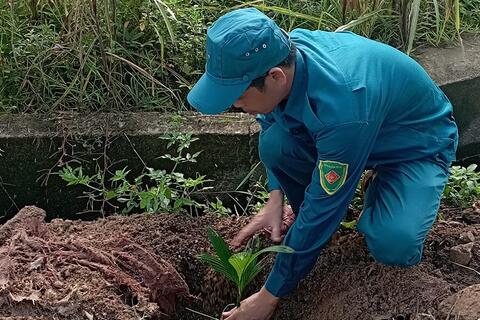 Đoàn thanh niên xã Hoài Phú ra quân trồng cây xanh thực hiện công trình thanh niên năm 2022